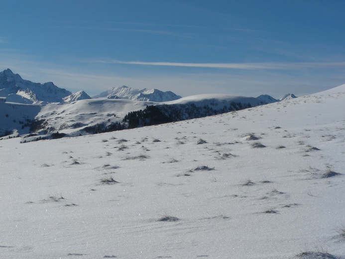 BG cap Bares Jan16 14
