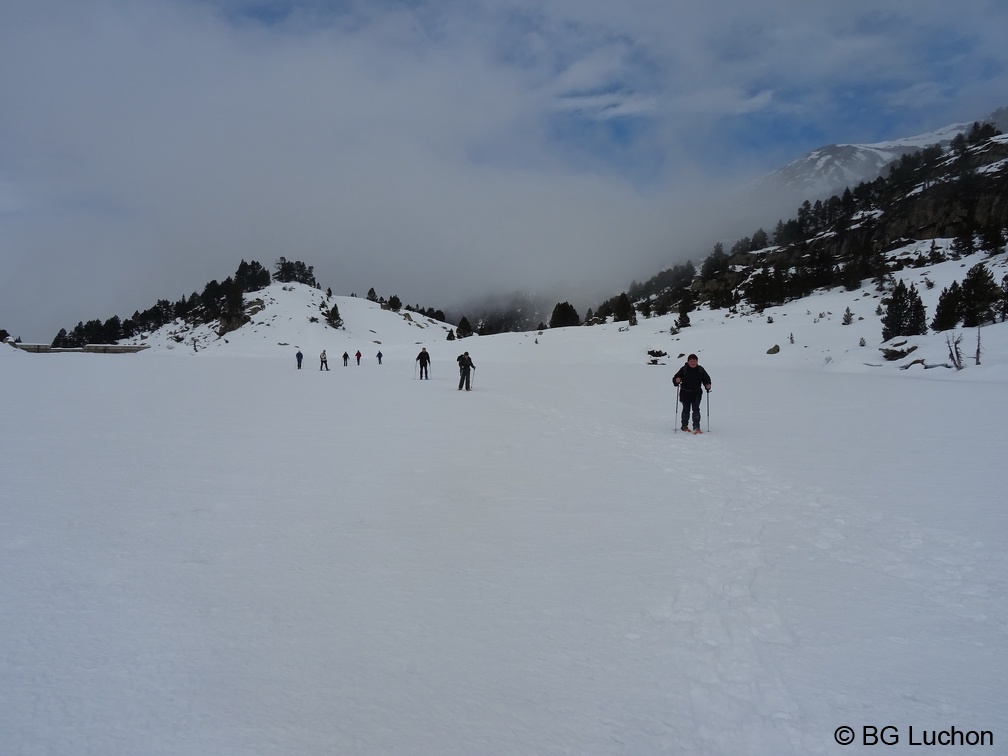 BG Baciver 20 (2653 visites) BG Baciver 20