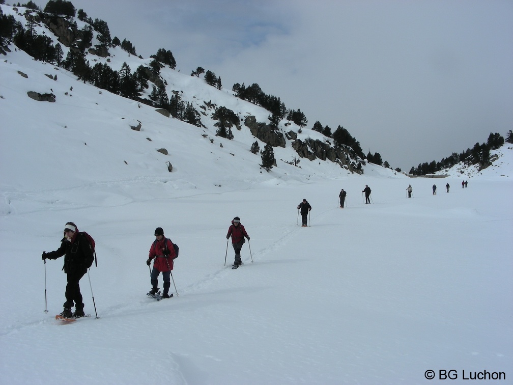 BG Baciver 21 (2702 visites) BG Baciver 21