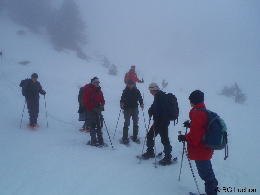 BG Baciver 30 (2826 visites) BG Baciver 30