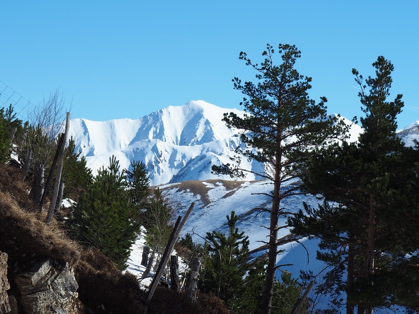 170217 BG Lampet 34 (2046 visites) 170217 BG Lampet 34