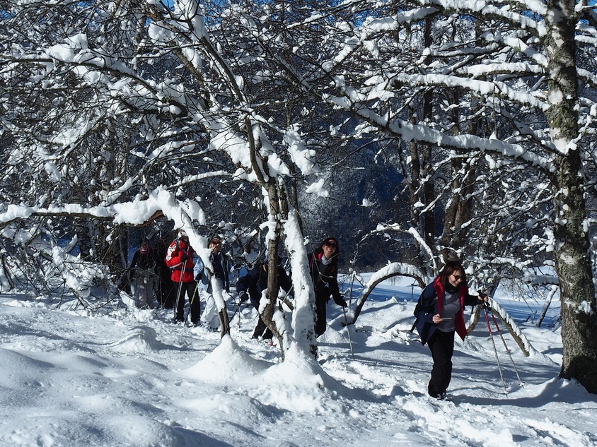 1801 BG Cabane Cunau 07