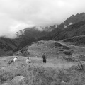 Article 2008 Randonnée Cirque des Crabioules 07