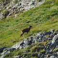 Article 2008 Randonnée Cirque des Crabioules 22