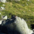 Article 2008 Randonnée Cirque des Crabioules 25