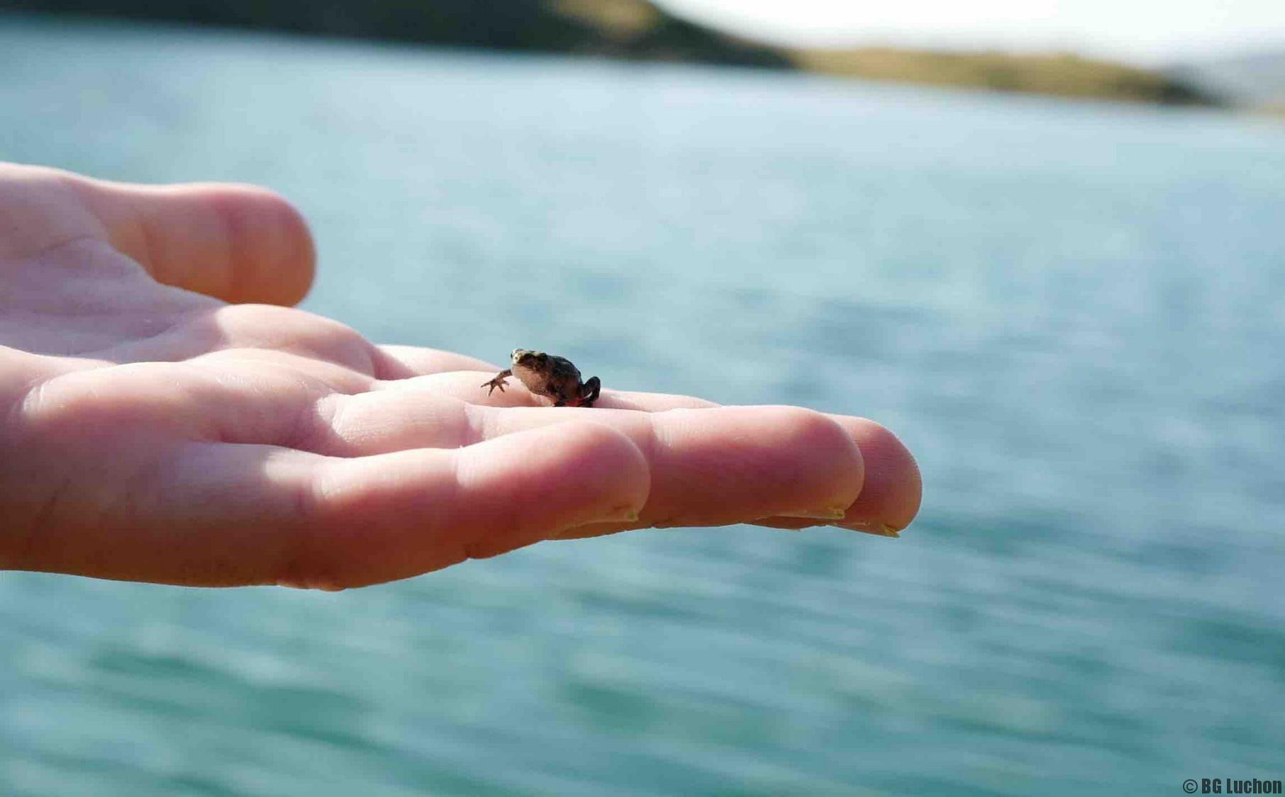 rencontre bagneres de luchon