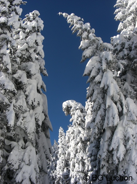 article Quand les pyrenees se transforment en alaska 3-15 07 - article Quand les pyrenees se transforment en alaska 3-15_07.jpg article Quand les pyrenees se transforment en alaska 3-15_07.jpg