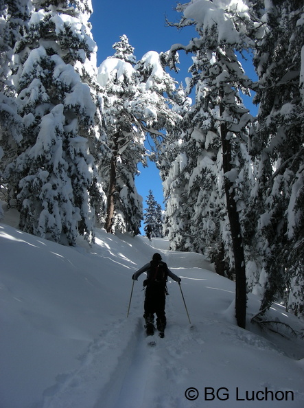 article Quand les pyrenees se transforment en alaska 3-15 08 - article Quand les pyrenees se transforment en alaska 3-15_08.jpg article Quand les pyrenees se transforment en alaska 3-15_08.jpg