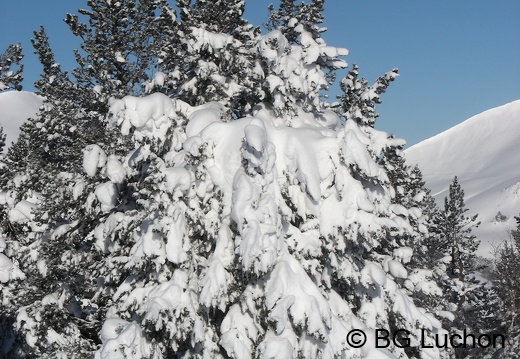 article Quand les pyrenees se transforment en alaska 3-15 09