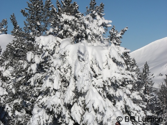 article Quand les pyrenees se transforment en alaska 3-15 09 (3704 visites) article Quand les pyrenees se transforment en alaska 3-15 09