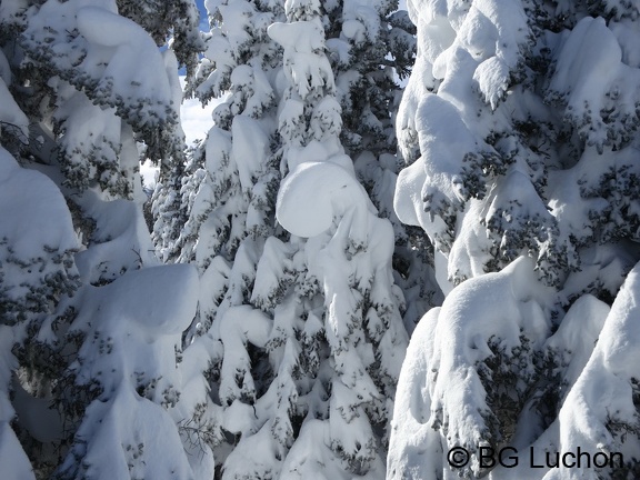 article Quand les pyrenees se transforment en alaska 3-15 11 (4601 visites) article Quand les pyrenees se transforment en alaska 3-15 11
