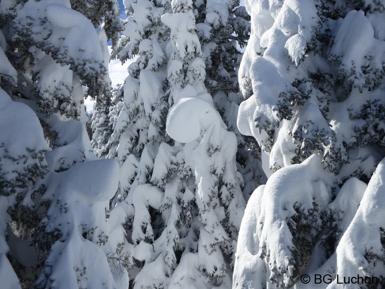 article Quand les pyrenees se transforment en alaska 3-15 11 (4556 visites) article Quand les pyrenees se transforment en alaska 3-15 11