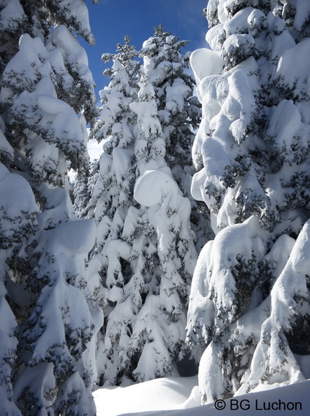 article Quand les pyrenees se transforment en alaska 3-15 11 - article Quand les pyrenees se transforment en alaska 3-15_11.jpg article Quand les pyrenees se transforment en alaska 3-15_11.jpg