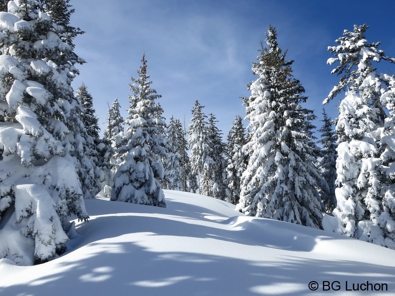 article Quand les pyrenees se transforment en alaska 3-15 12 (4467 visites) article Quand les pyrenees se transforment en alaska 3-15 12