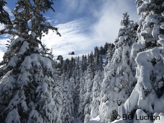 article Quand les pyrenees se transforment en alaska 3-15 13 (4355 visites) article Quand les pyrenees se transforment en alaska 3-15 13
