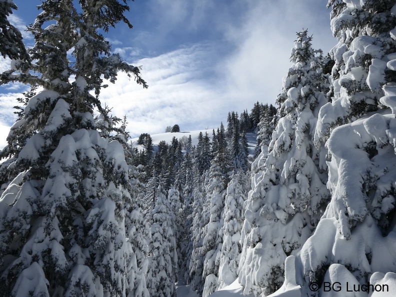article Quand les pyrenees se transforment en alaska 3-15 13 (4315 visites) article Quand les pyrenees se transforment en alaska 3-15 13