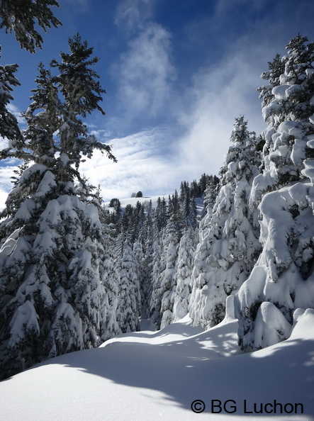 article Quand les pyrenees se transforment en alaska 3-15 13 - article Quand les pyrenees se transforment en alaska 3-15_13.jpg article Quand les pyrenees se transforment en alaska 3-15_13.jpg