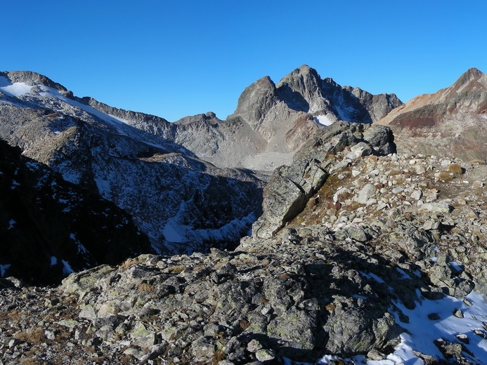 article Tusse de montarqué 08