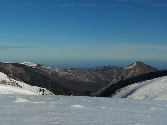 BG cap Bares Jan16 05
