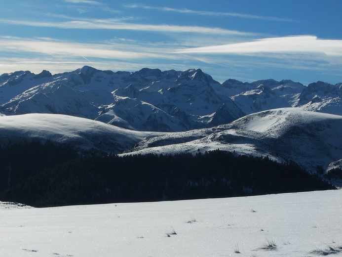 BG cap Bares Jan16 11