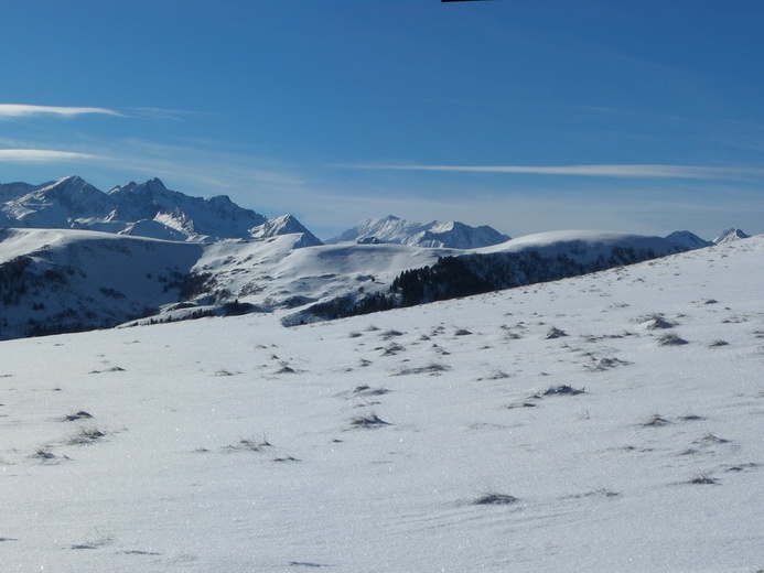 BG cap Bares Jan16 12