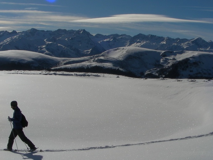 BG cap Bares Jan16 16