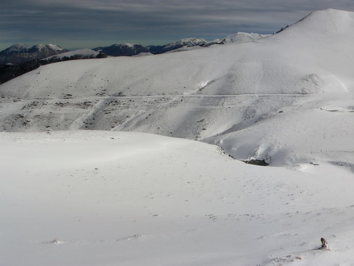 BG cap Bares Jan16 30