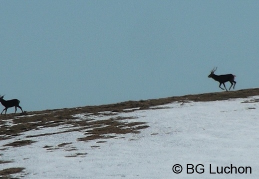 BG Cap de Bares Jan 35