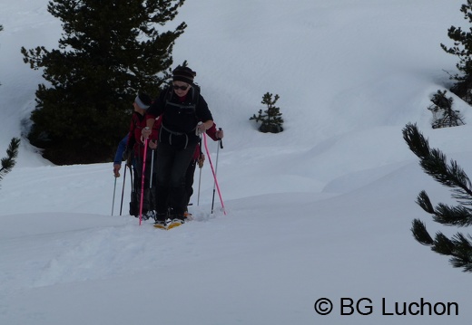 BG Baciver 10 (2010 visits) BG Baciver 10
