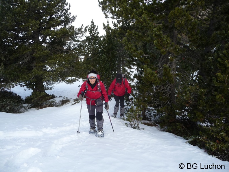 BG Baciver 11 (2729 visites) BG Baciver 11