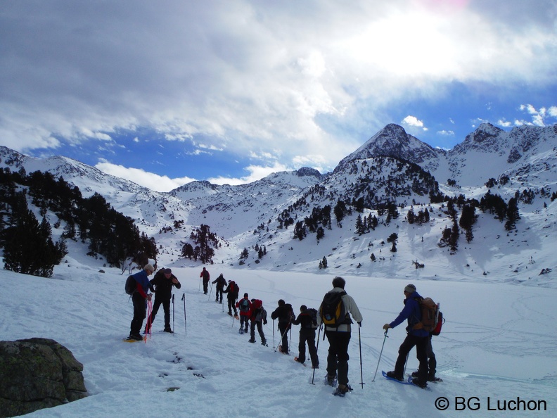 BG Baciver 15 (2627 visites) BG Baciver 15
