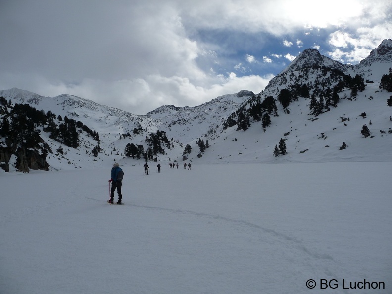 BG Baciver 17 (2643 visites) BG Baciver 17