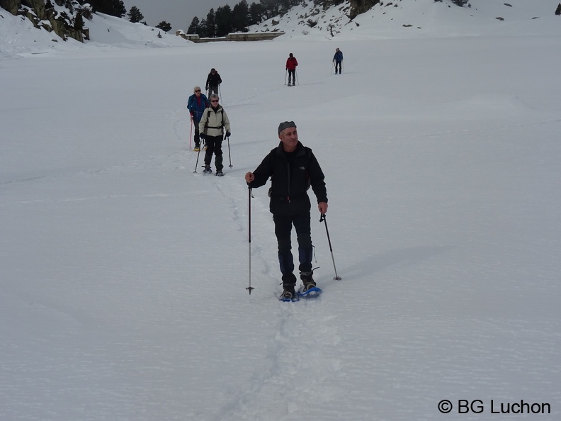 BG Baciver 19 (2728 visites) BG Baciver 19