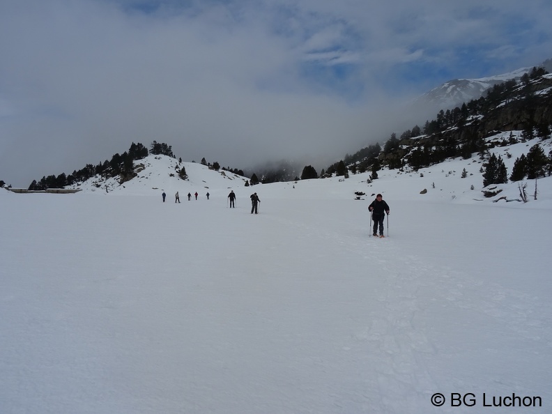 BG Baciver 20 (2692 visites) BG Baciver 20