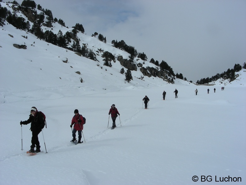 BG Baciver 21 (2740 visites) BG Baciver 21