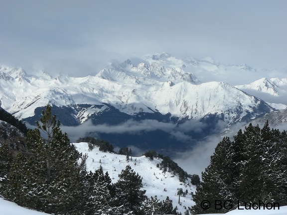 article BG Baciver Fev 05 (2991 visites) article BG Baciver Fev 05