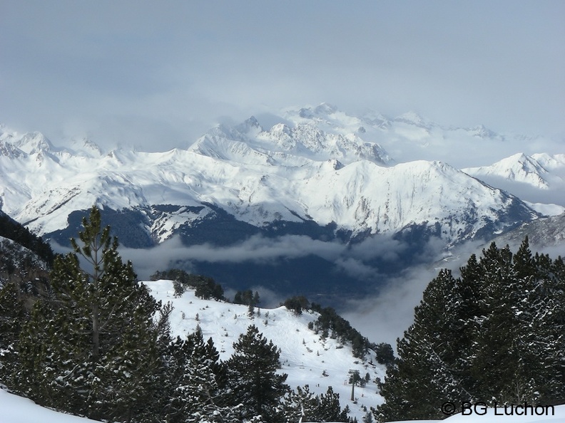 article BG Baciver Fev 05 (2985 visites) article BG Baciver Fev 05
