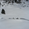 article BG Baciver Fev 07 (3022 visites) article BG Baciver Fev 07