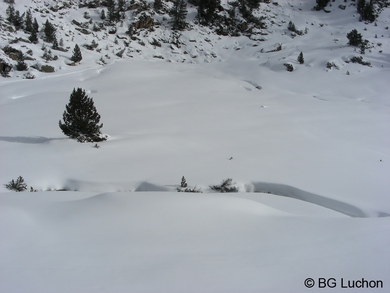 article BG Baciver Fev 07 (3022 visites) article BG Baciver Fev 07