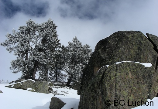 article BG Baciver Fev 14 (2105 visits) article BG Baciver Fev 14