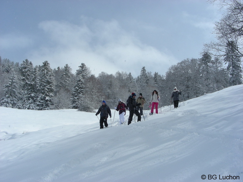 BG Herran 04 - BG_Herran_04.JPG BG_Herran_04.JPG