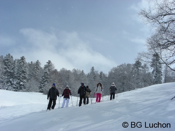 BG Herran 05 (3329 visites) BG Herran 05