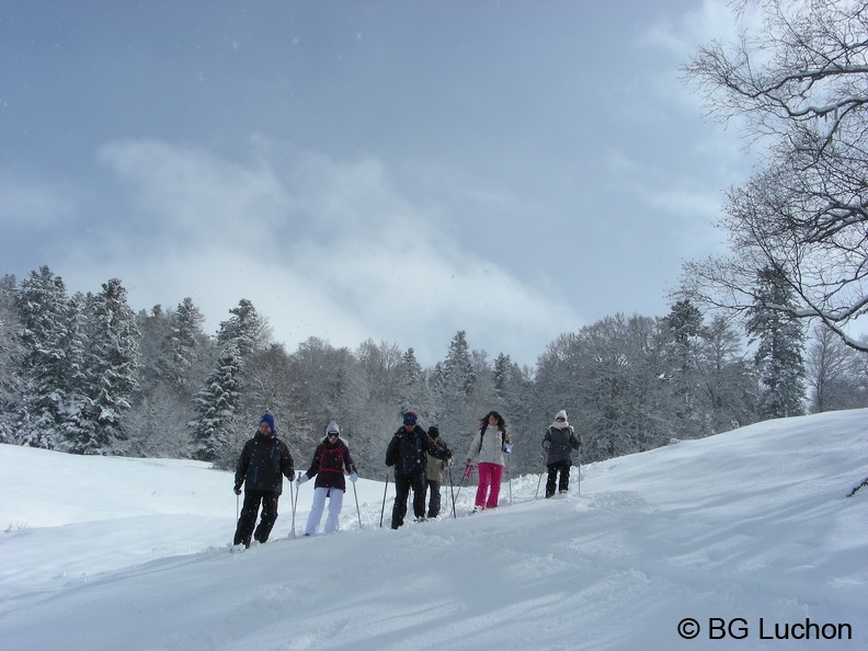 BG Herran 05 (3348 visites) BG Herran 05