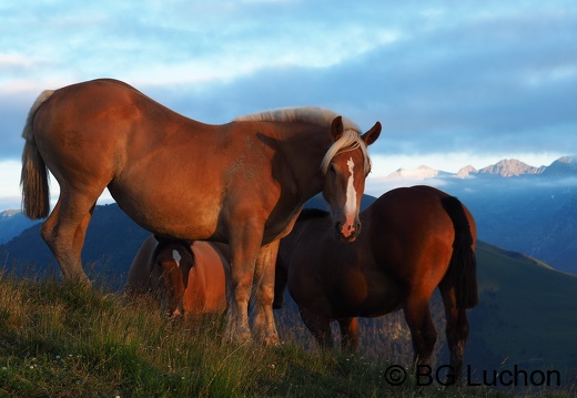 1607 - BG -Coucher de soleil - Herran 02