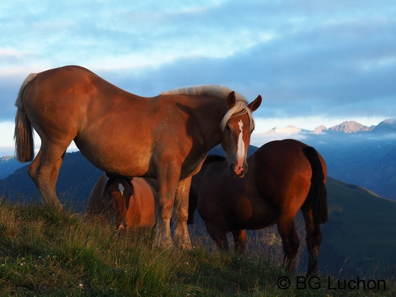 1607 - BG -Coucher de soleil - Herran 02 (3340 visites) 1607 - BG -Coucher de soleil - Herran 02