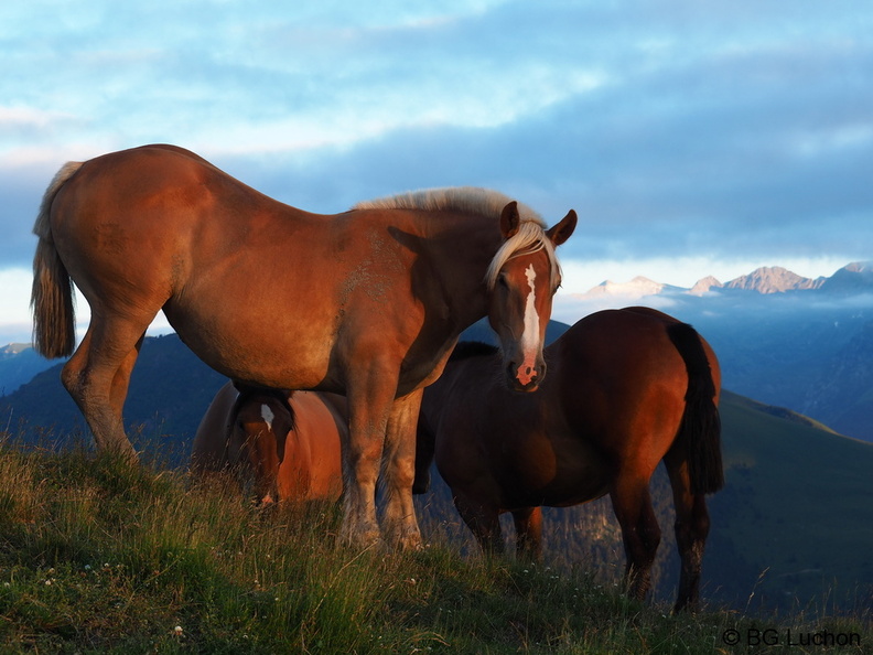 1607 - BG -Coucher de soleil - Herran_02.JPG