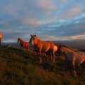 1607 - BG -Coucher de soleil - Herran 03