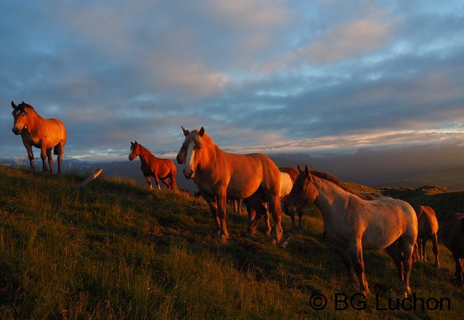 1607 - BG -Coucher de soleil - Herran 03