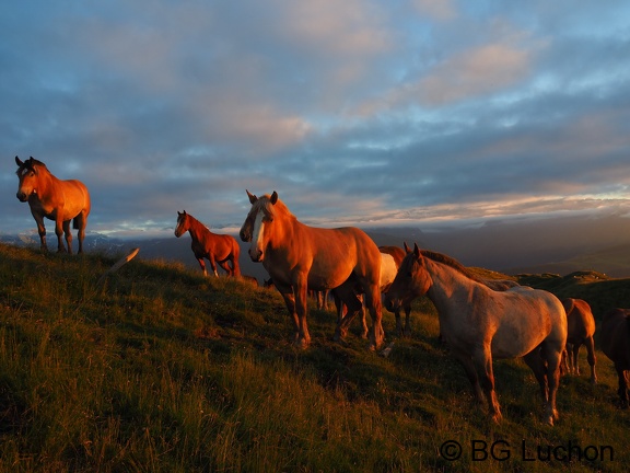 1607 - BG -Coucher de soleil - Herran 03 (2302 visites) 1607 - BG -Coucher de soleil - Herran 03