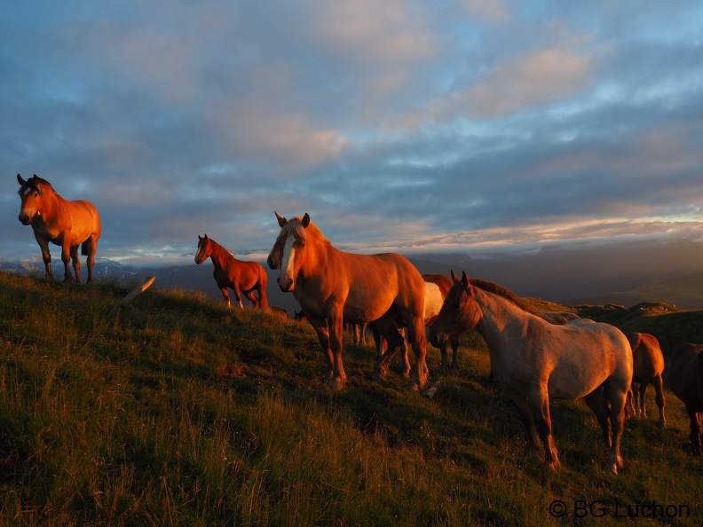 1607 - BG -Coucher de soleil - Herran 03